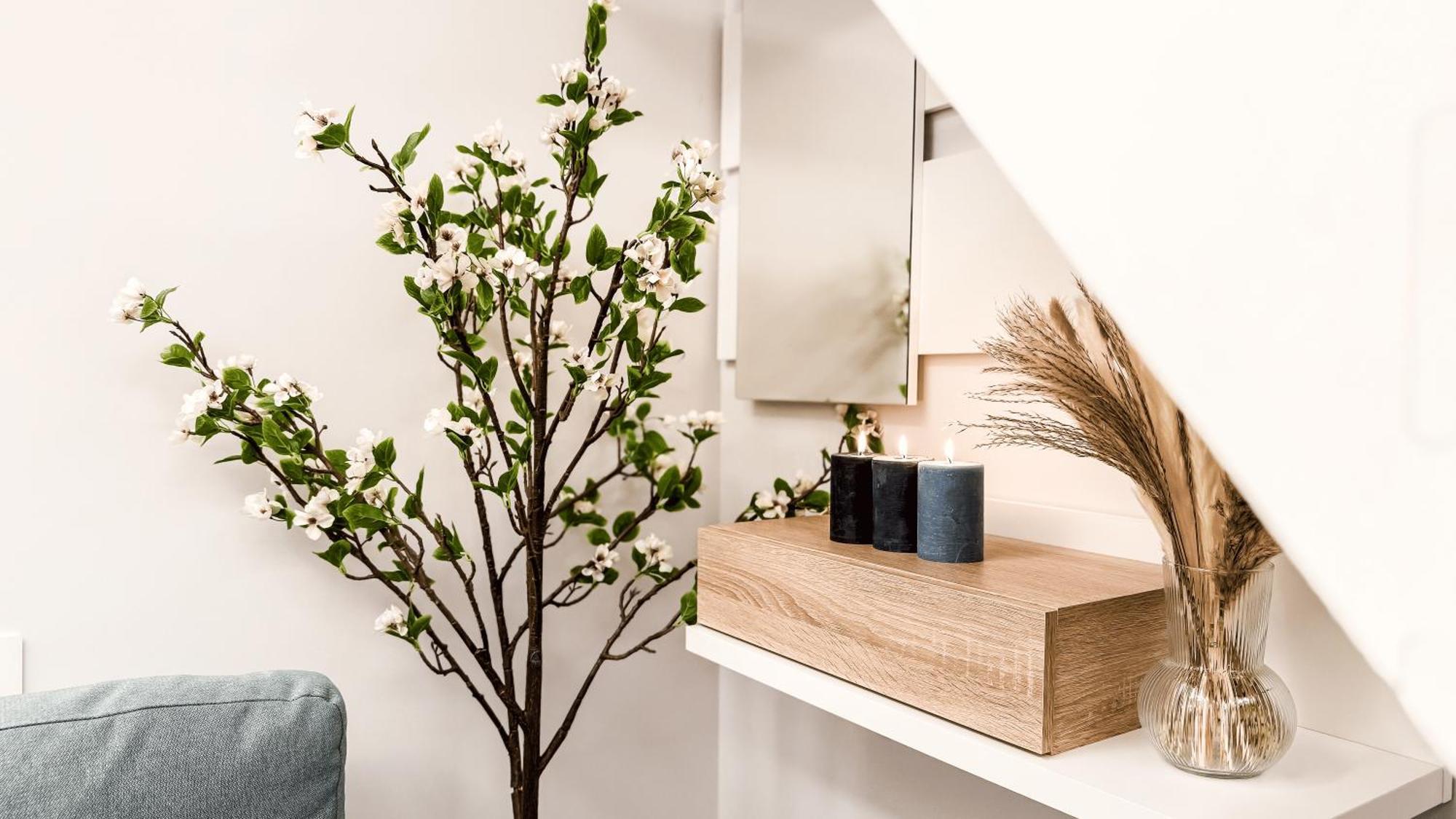 Serenity Chinatown Sarpi - Monolocale Yang Appartement